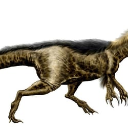 Dryptosaurus pictures