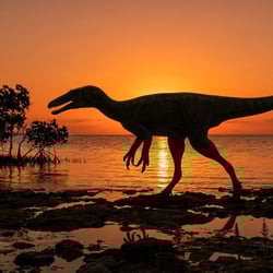 Dubreuillosaurus pictures