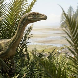 Elaphrosaurus pictures