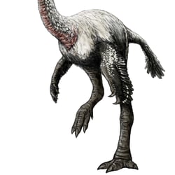 Elmisaurus pictures