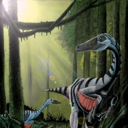 Elopteryx pictures