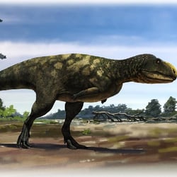 Eoabelisaurus pictures