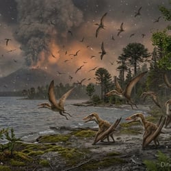 Eopteranodon pictures