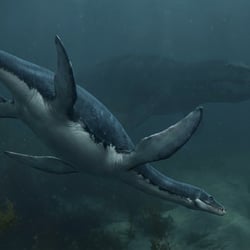 Eretmosaurus pictures