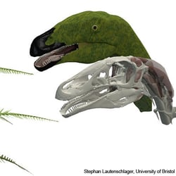 Erlikosaurus pictures