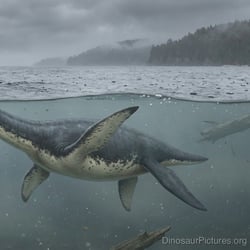 Eromangasaurus pictures