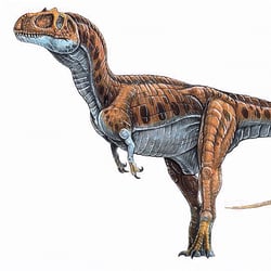 Eustreptospondylus pictures