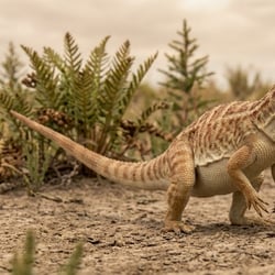 Fabrosaurus pictures