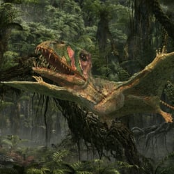 Dimorphodon pictures