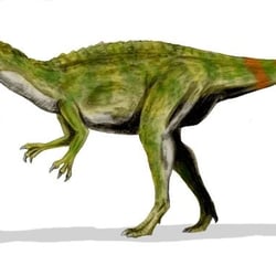 Fukuiraptor pictures