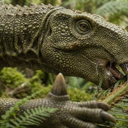 Fukuisaurus pictures