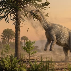 Fushanosaurus pictures