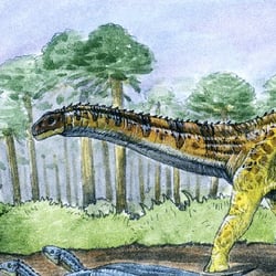 Fusuisaurus pictures