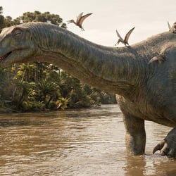 Galvesaurus pictures