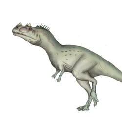 Genyodectes pictures