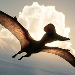 Geosternbergia pictures