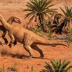 Gigantoscelus pictures