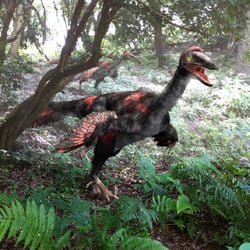 Gobivenator pictures
