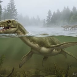 Gronausaurus pictures