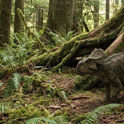 Gryphoceratops pictures