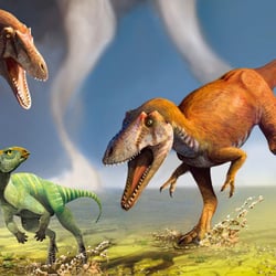 Gualicho pictures