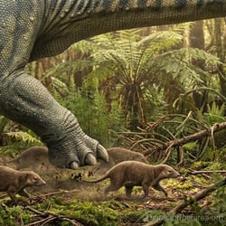 Haplocanthosaurus pictures