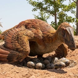 Huanansaurus pictures