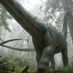 Huangshanlong pictures