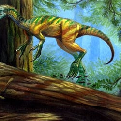 Huaxiagnathus pictures