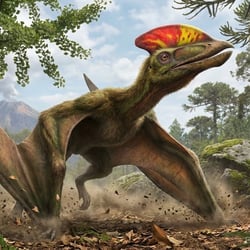 Huaxiapterus pictures