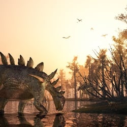 Huayangosaurus pictures