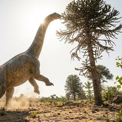 Hudiesaurus pictures