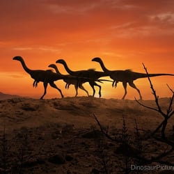 Huinculsaurus pictures