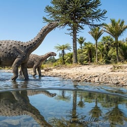 Hypselosaurus pictures