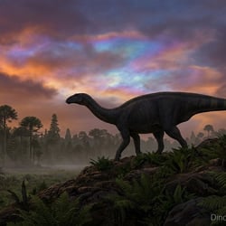 Irisosaurus pictures