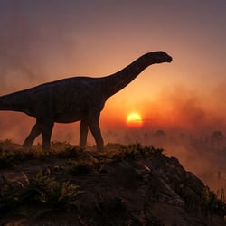 Isanosaurus pictures