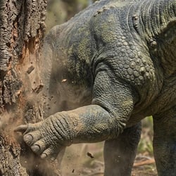 Ischyrosaurus pictures