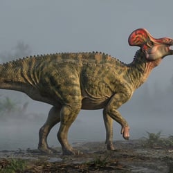 Jaxartosaurus pictures