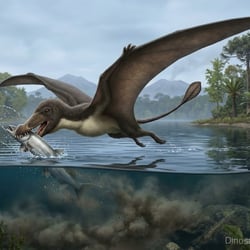 Jianchangopterus pictures