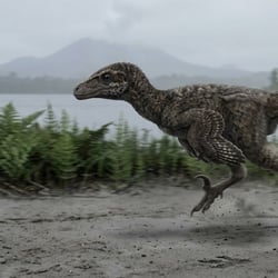 Jianianhualong pictures