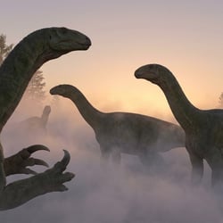 Jingshanosaurus pictures