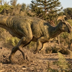 Jintasaurus pictures