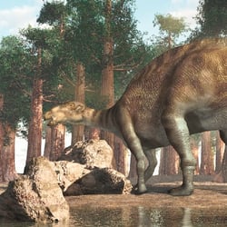 Jintasaurus pictures