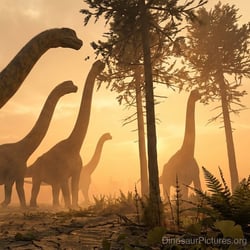 Jiutaisaurus pictures