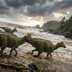 Kamuysaurus pictures