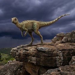 Kangnasaurus pictures