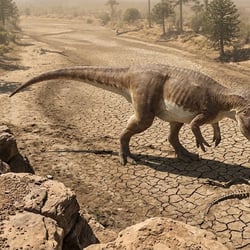 Kelmayisaurus pictures