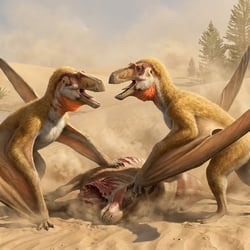 Keresdrakon pictures