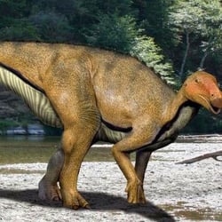 Koshisaurus pictures