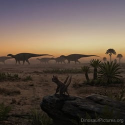 Kotasaurus pictures